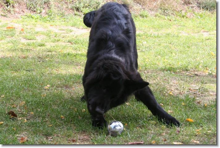 Dit is de laatste foto